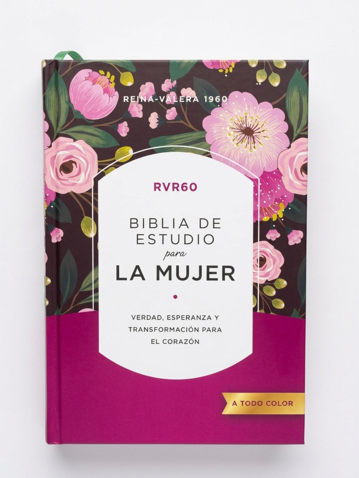 Biblia Estudio Para Mujer